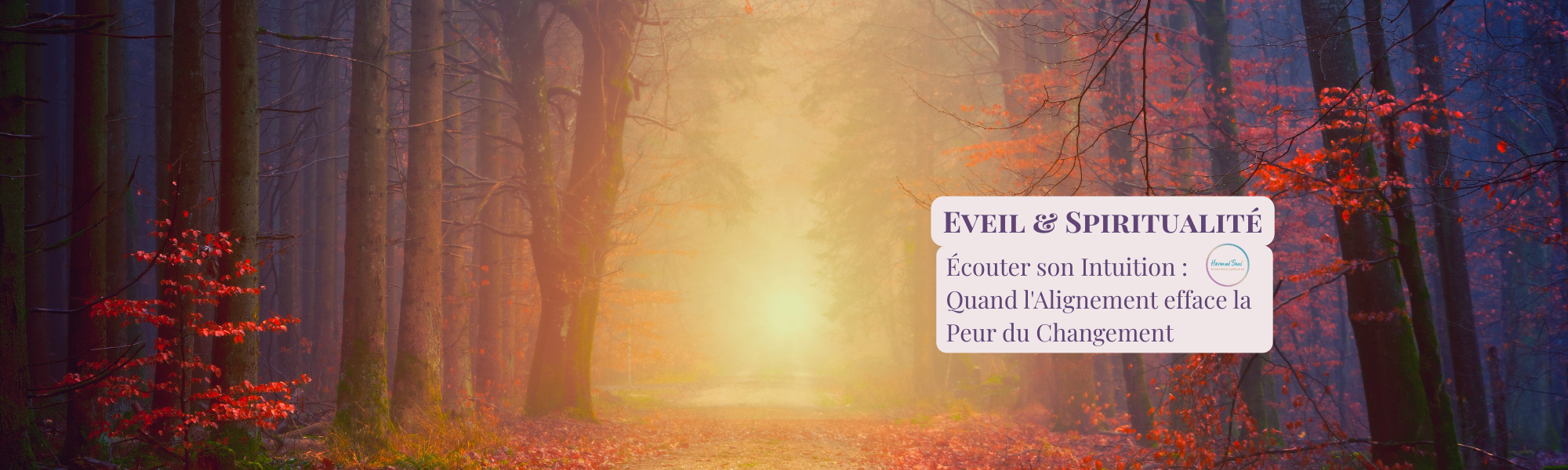 Sentier rougeoyant et lumineux en pleine nature symbolisant l'alignement intérieur et l'intuition qui efface la peur du changement